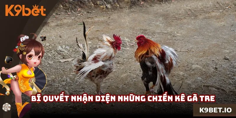 Bí quyết nhận diện những chiến kê gà tre dũng mãnh