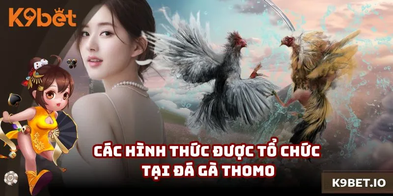 Các hình thức thi đấu được tổ chức tại đá gà Thomo