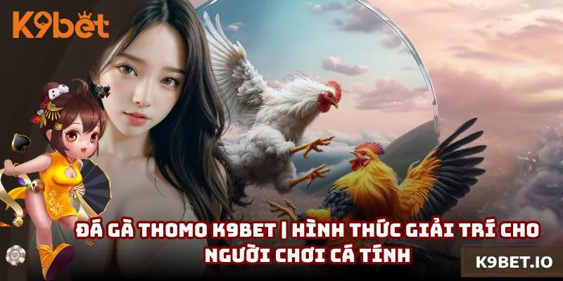 Đá gà Thomo K9bet | Hình thức giải trí cho người chơi cá tính