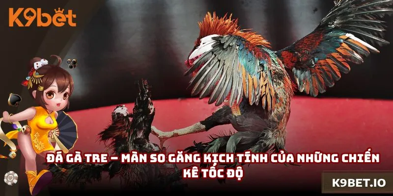 Đá Gà Tre – Màn So Găng Kịch Tính Của Những Chiến Kê Tốc Độ