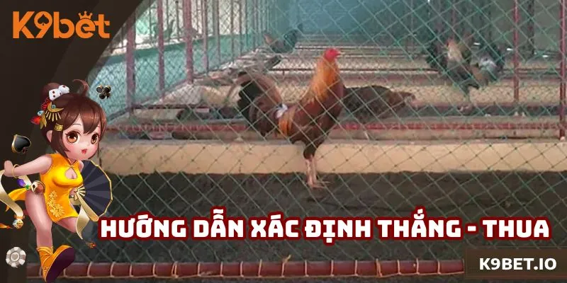 Hướng dẫn cách tìm ra kê chiến thắng