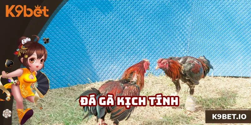 Loại hình đá gà nhận được nhiều lượt yêu thích từ người chơi