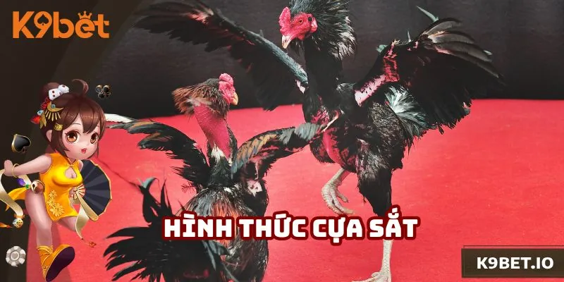 Người dùng nhận được tỷ lệ thưởng siêu cao khi tham gia cựa sắt