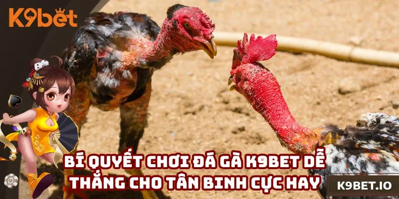 Những bí quyết thắng lớn khi thành viên tham gia sảnh cực chuẩn
