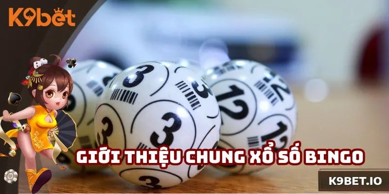 Những thông tin khiến bạn bất ngờ về xổ số Bingo