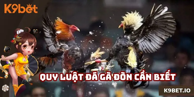 Đá Gà Đòn - Bộ Môn Đầy Kịch Tính, Cơ Hội Trúng Thưởng Cao 2 Quy luật chơi chọi kê đòn siêu dễ hiểu