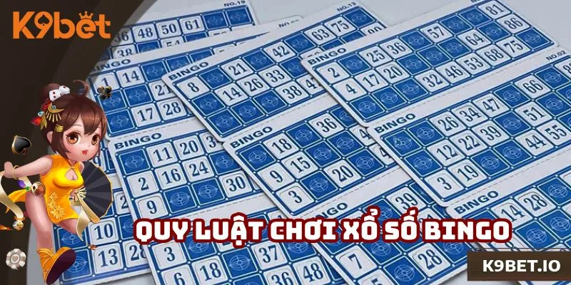Quy luật chung trong xổ số Bingo cần biết