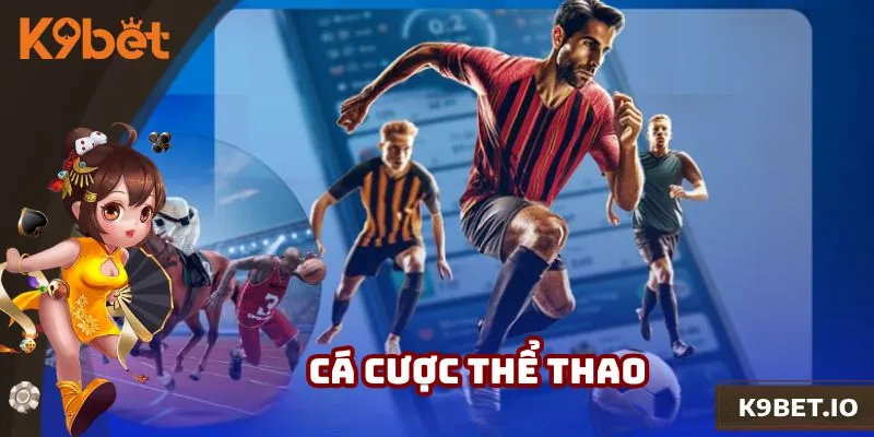 Sân chơi cung cấp sảnh cược thể thao đa dạng kèo cược