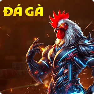 Sảnh Đá Gà K9bet