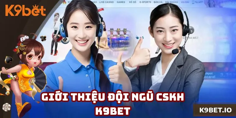 Sơ lược cskh K9bet