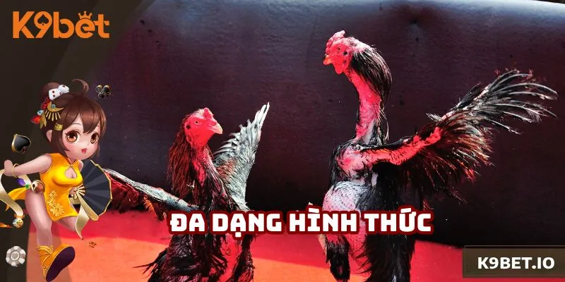 Thành viên được tham gia nhiều hình thức vượt trội