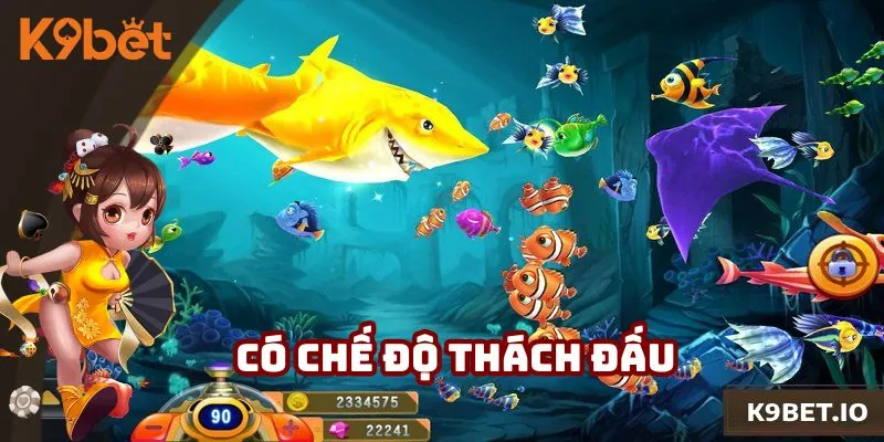 Thử sức thách đấu người chơi khác