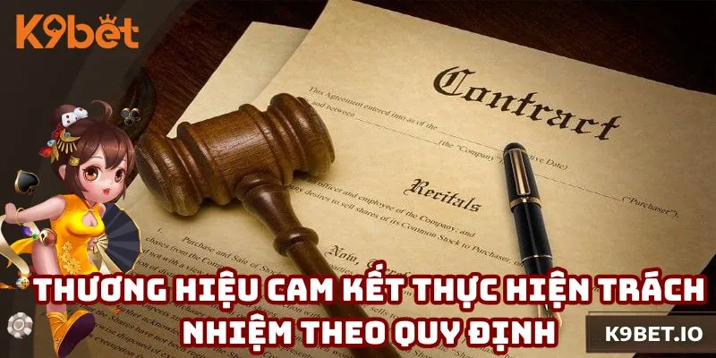 Thương hiệu cam kết thực hiện đầy đủ trách nhiệm theo quy định
