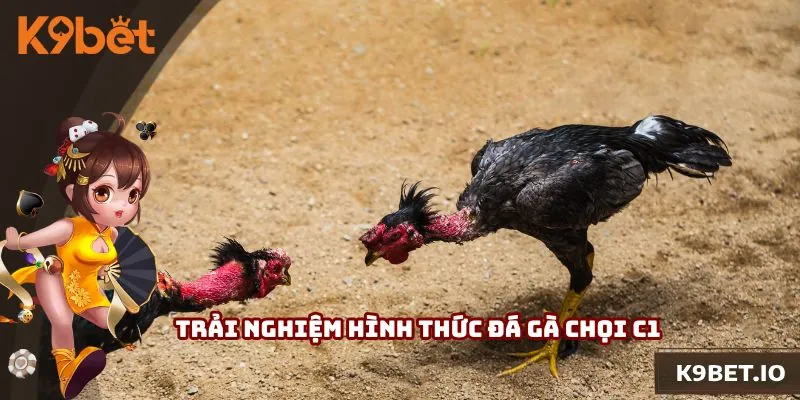 Trải nghiệm hình thức đá gà chọi C1 theo cách mới tại nhà cái